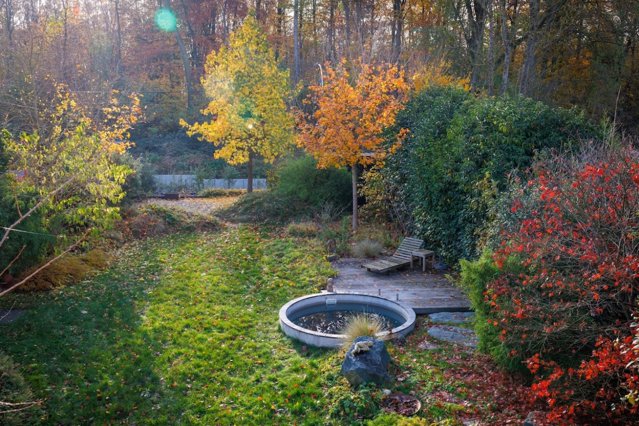 Waarom investeren in een tuinarchitect? De voordelen van professioneel ontwerp en aanleg